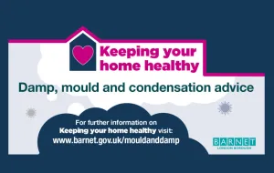 Illustration with clouds and mould spores in blue, pink and grey. Text reads: Keeping your home healthy: damp, mould and condensation advice.