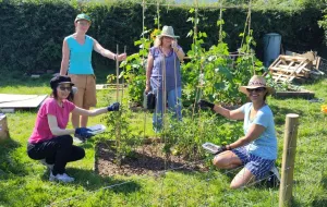 four people in a food growing garden
