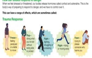 White background explaining five trauma responses: fight, flight, fawn, freeze, flop with cartoon images related to each trauma response