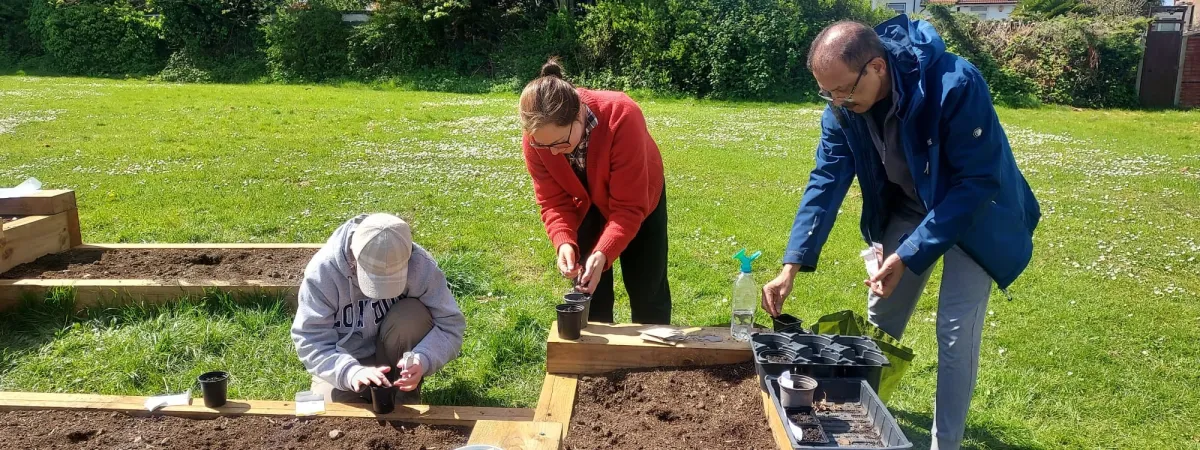 people at a raised gardening bed 