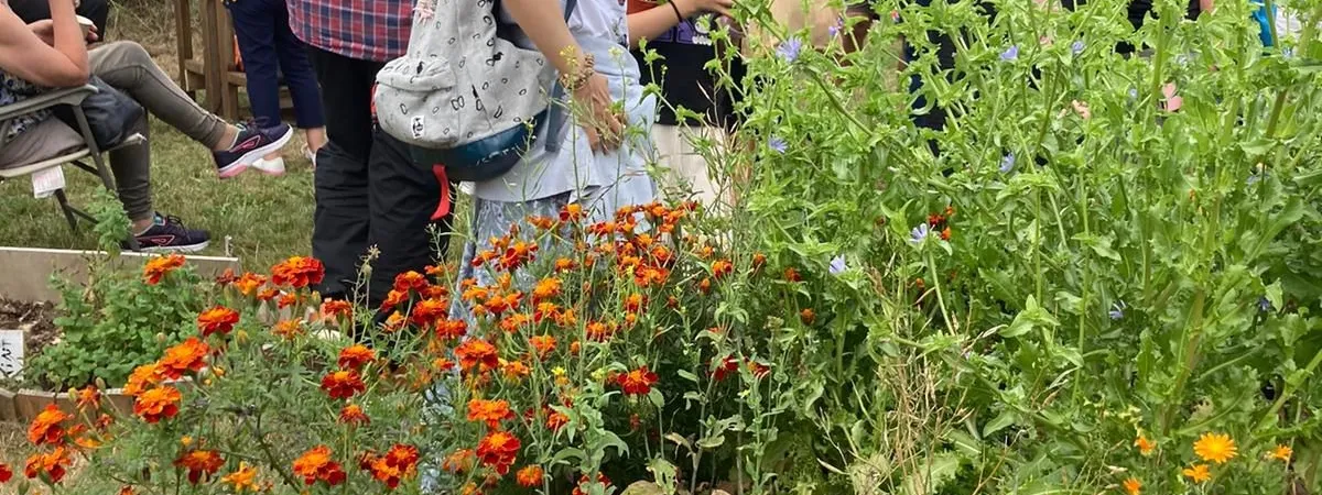 people in a garden with flowers