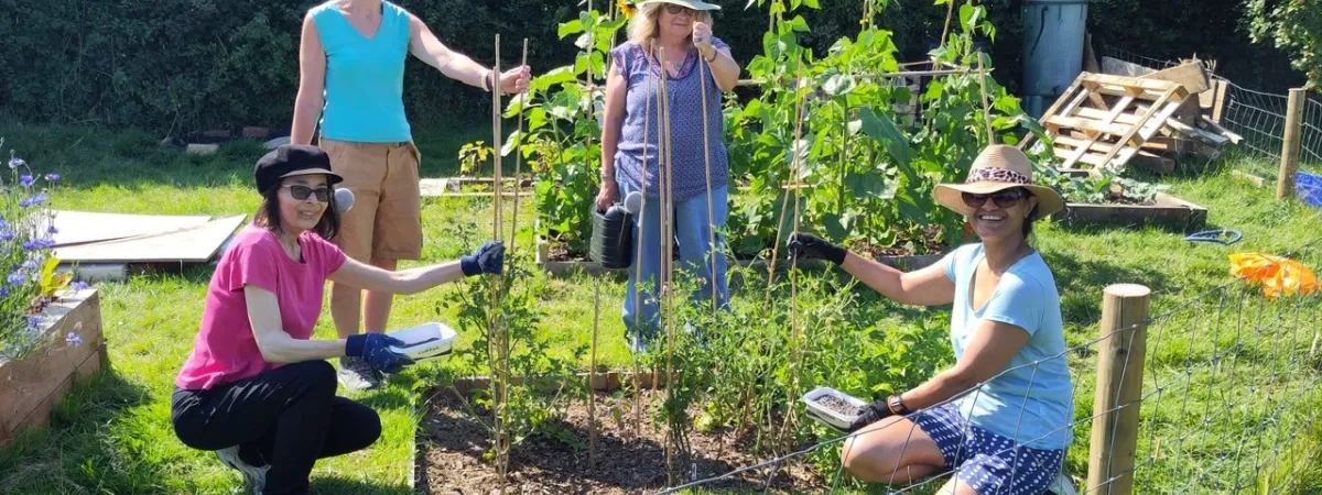 four people in a food growing garden