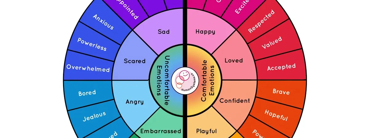 Wheel with colours of the rainbow around it, half are uncomfortable emotions: sad, scared, angry and embarrassed, half are comfortable emotions: happy, loved, confident, playful