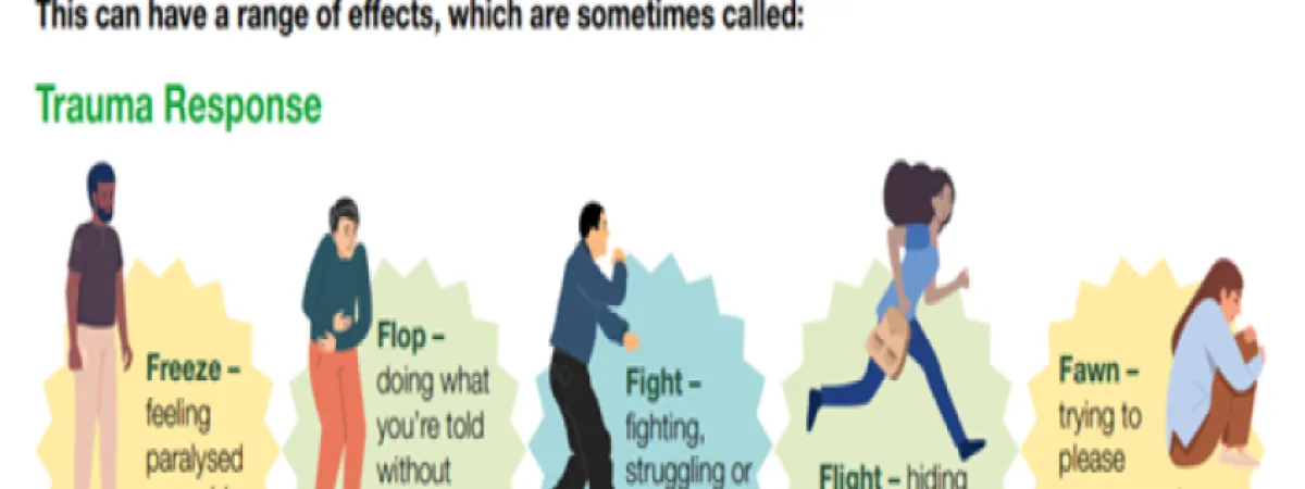 White background explaining five trauma responses: fight, flight, fawn, freeze, flop with cartoon images related to each trauma response